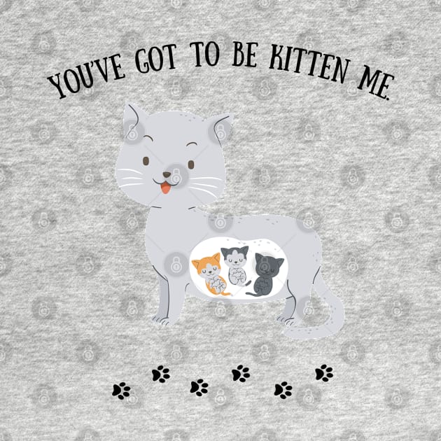 You've got to be kitten me by Mission Bear